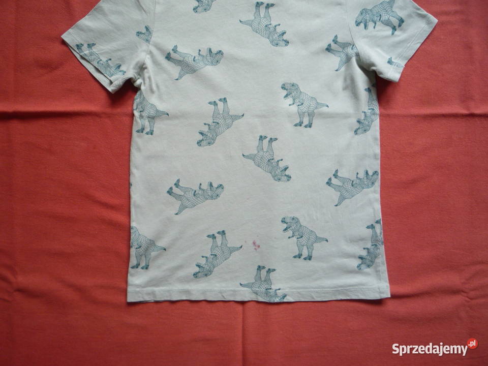 HM r 134 Niebieskozielona Koszulka Dinozaury