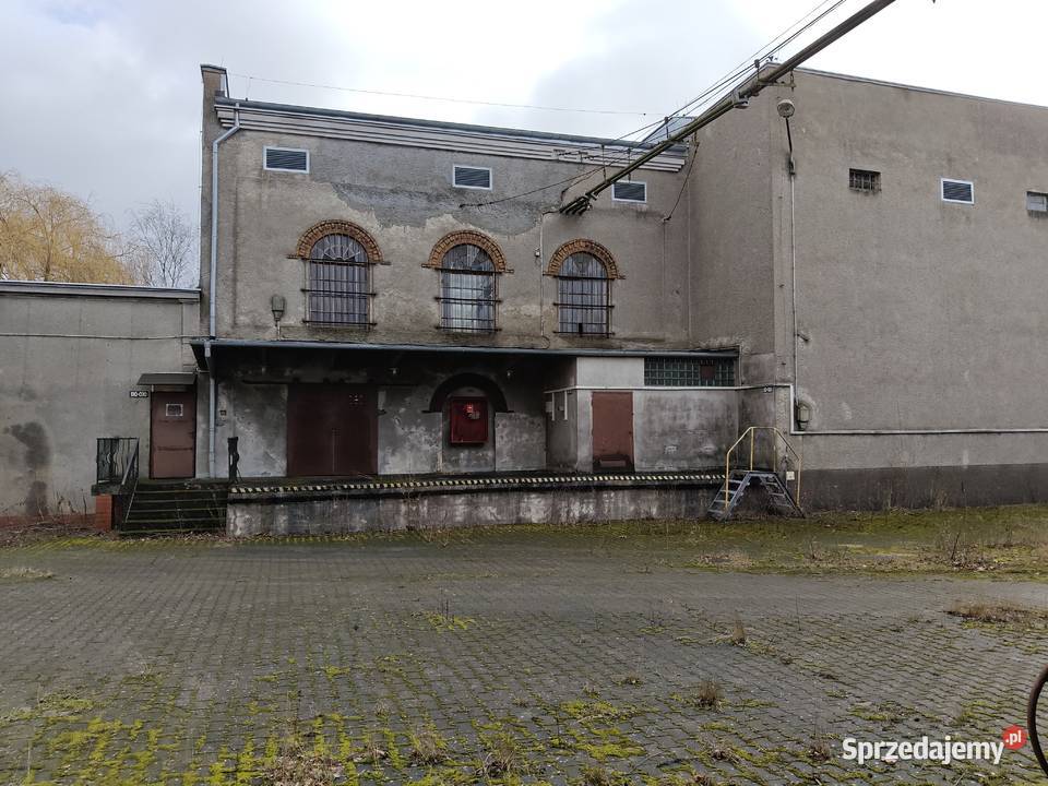 Syndyk sprzeda Szczecińską Fabrykę Wódek STARKA Szczecin