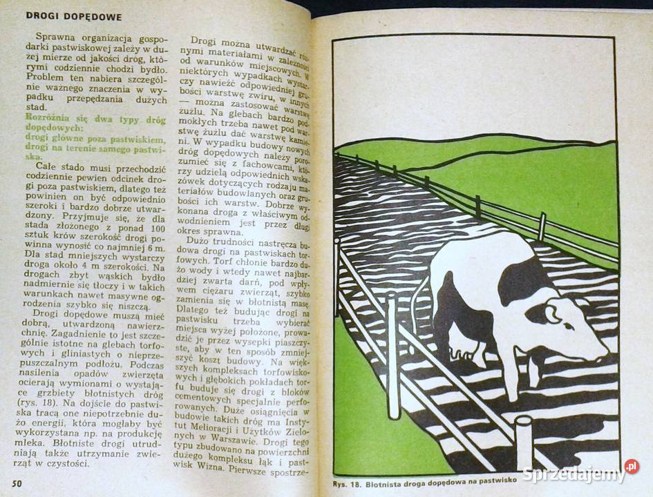 Kwaterowe użytkowanie pastwiska Zygmunt Rok wydania 1974