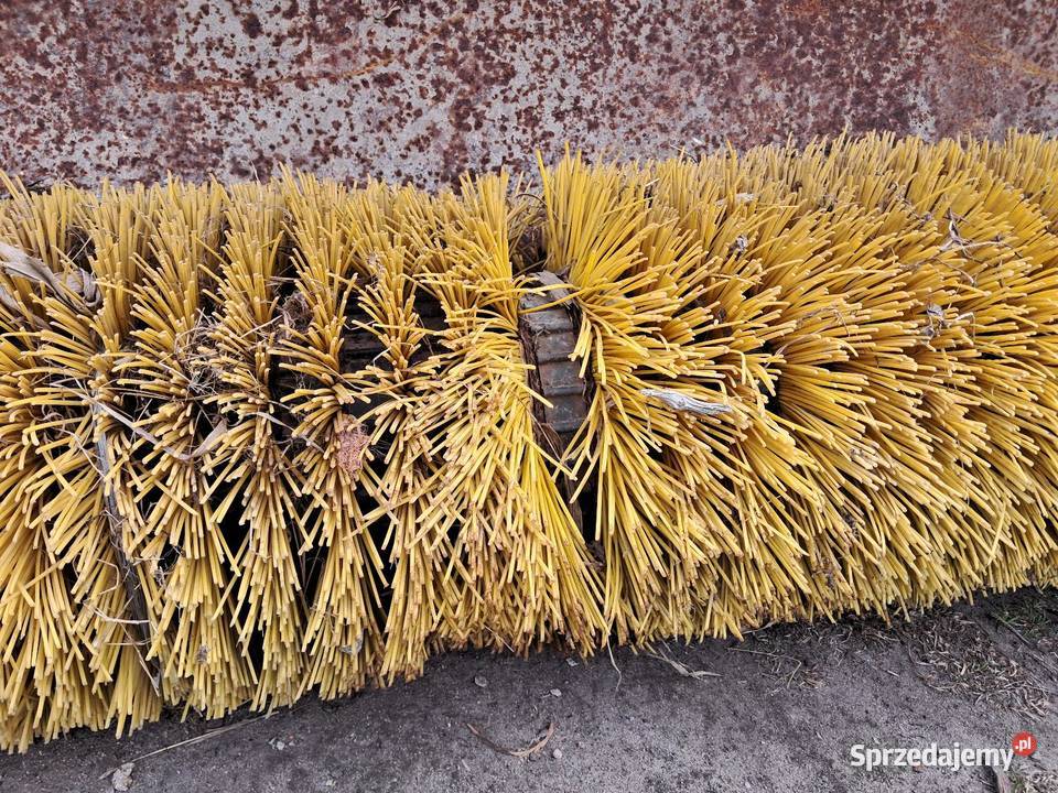 Zamiatarka kujawsko-pomorskie Grębocin