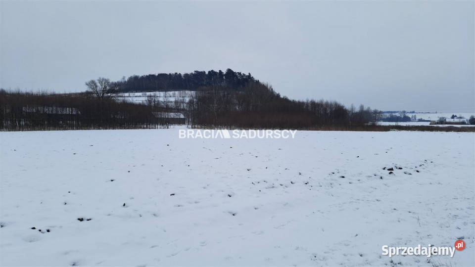 Grunt Polekarcice 4800m2 sprzedam