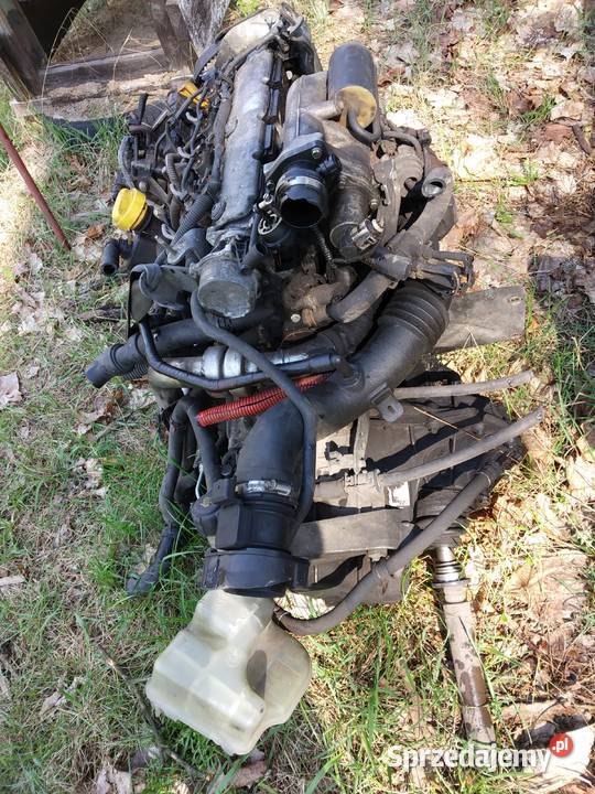 Silnik 19 dCi Renault Laguna II pęknięty pas Otwock