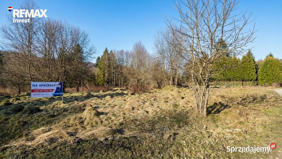 Działka 8a otulona zielenią Jeleśnia czeka