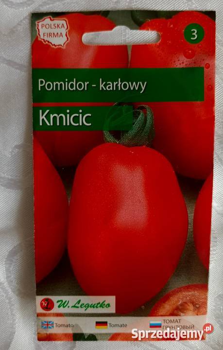 Sadzonka pomidora karłowatego Kmicic