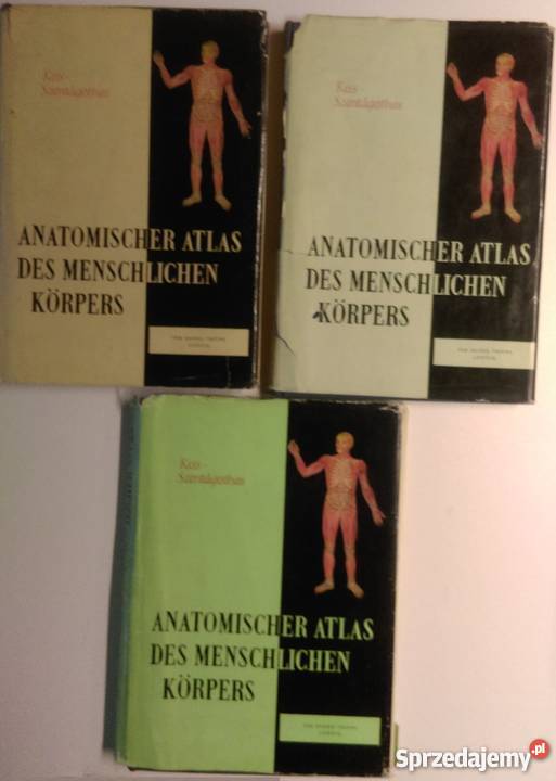 ATLAS ANATOMII CZŁOWIEKA TOM 13 KISS zdrowie, pierwsza pomoc Poradniki, albumy i reportaże Zielona Góra