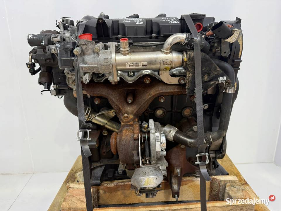 SILNIK G6DA Ford C C 20 TDCI 136 G6DB G6DD G6DG Chełm
