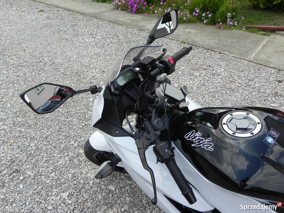 Kawasaki Ninja 250 SL Wielgomłyny