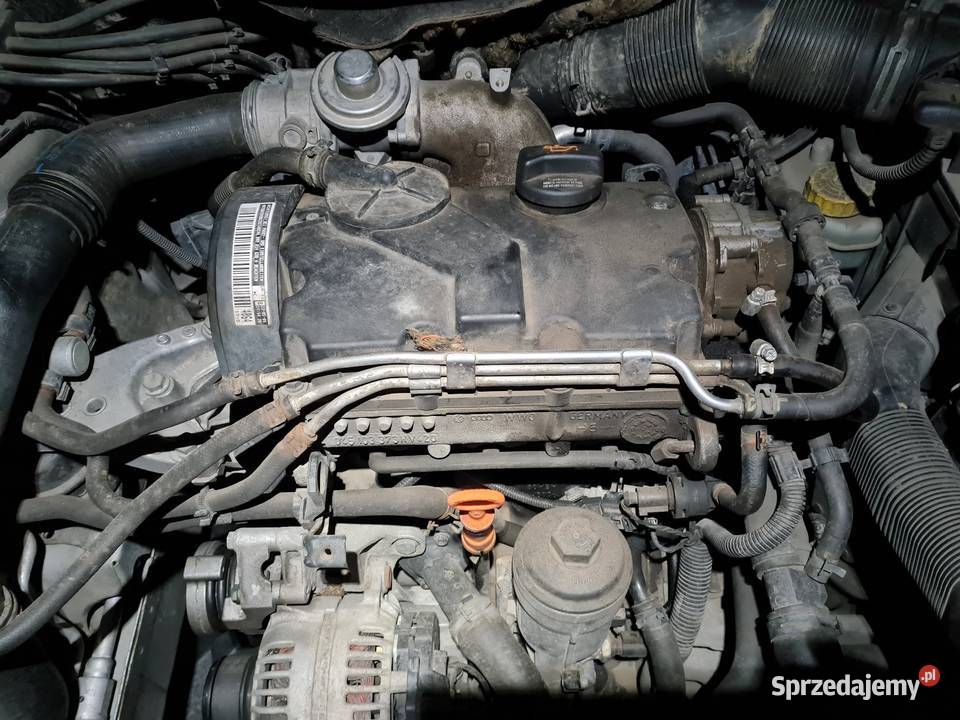 Audi A3 VW Golf V Seat Leon 2 Altea 1 14 16 19 Skawina sprzedam