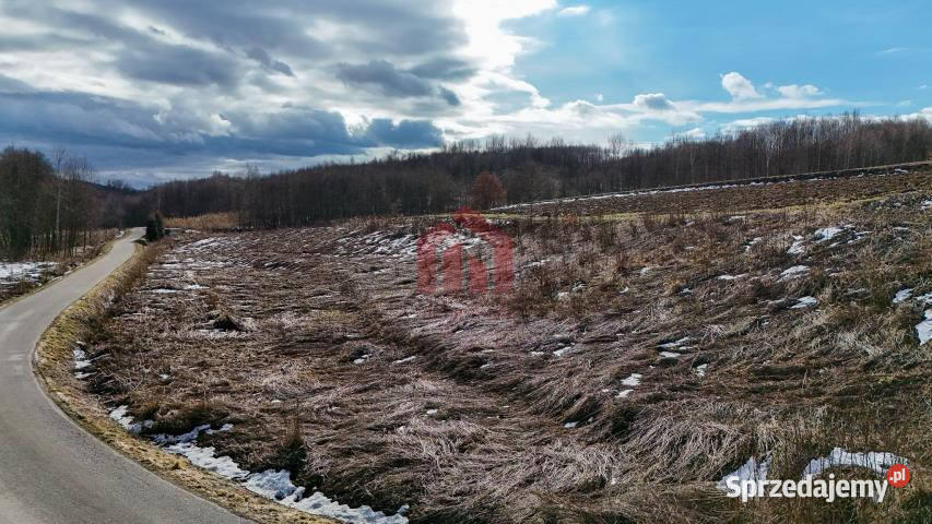 sprzedaży działki Nawsie 700m2