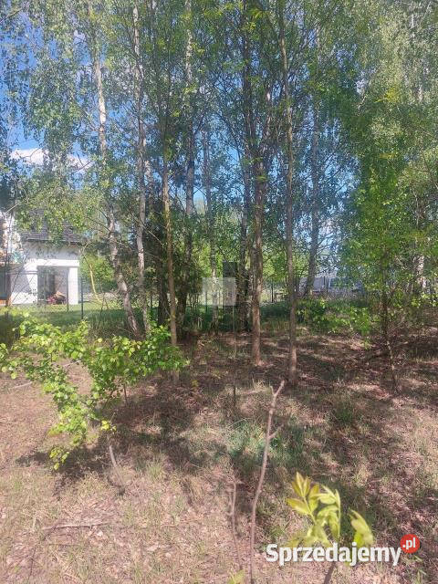 Grunt 1100m2 Stare Grabie sprzedam