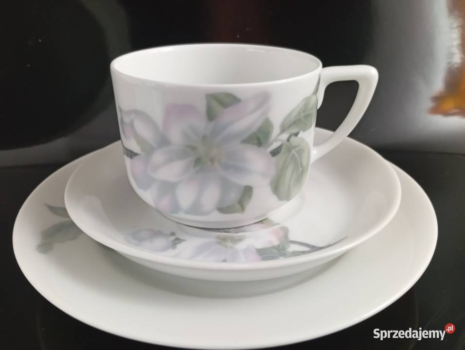 Zestaw śniadaniowy Rosenthal Isolde lubuskie Zielona Góra sprzedam