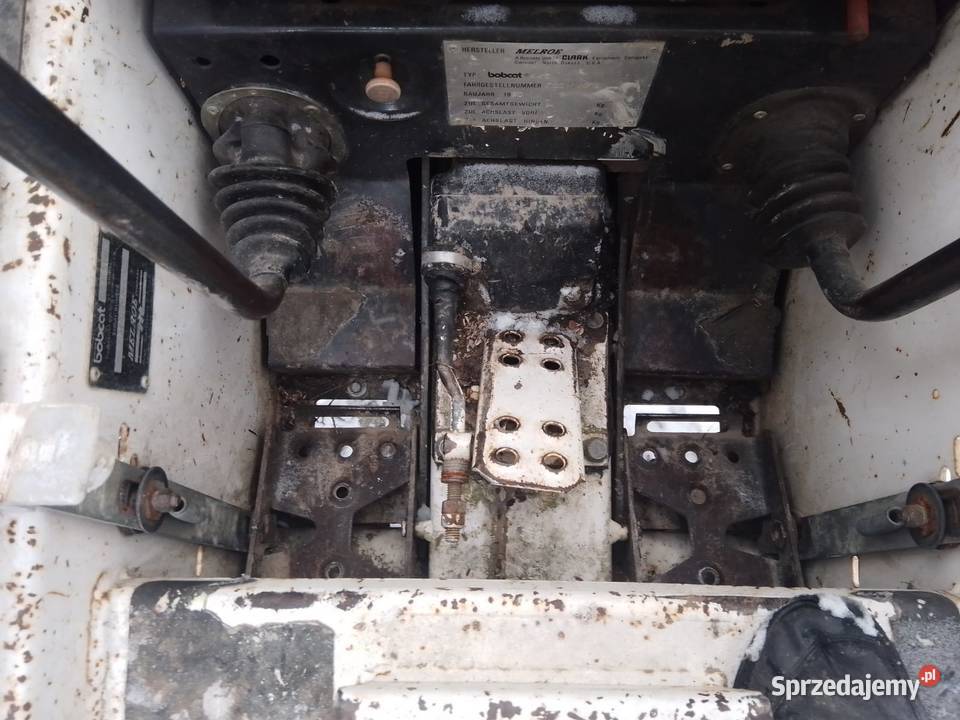 Bobcat443