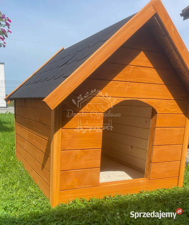 Buda psa Rozmiar XXL Pinia Dach dwuspadowy ID839 zachodniopomorskie