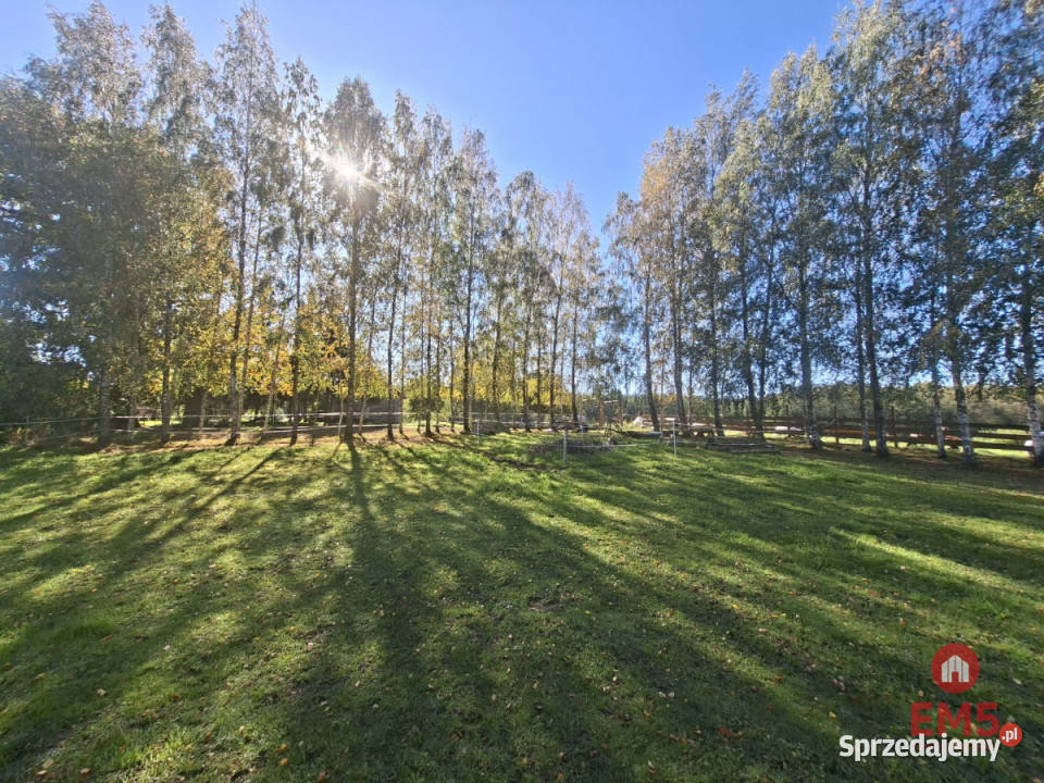 sprzedaży działki Pozezdrze 4800m2