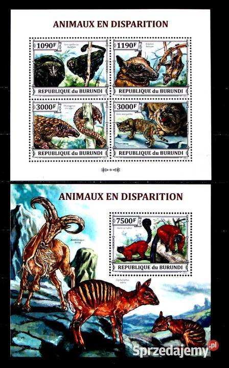 Burundi 33083311 94 jpg Oborniki