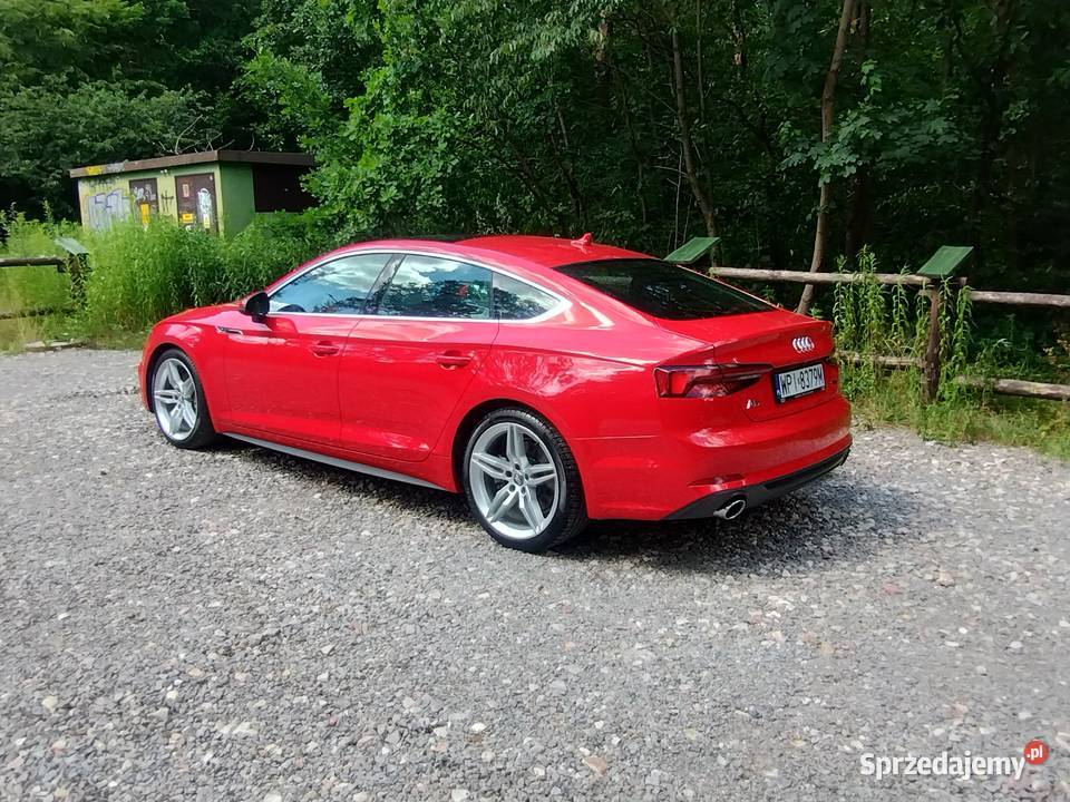 Audi A5 PREMIUM PLUS SLINE Quattro 20 TFSI 252 automatyczna Motoryzacja Warszawa