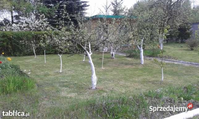 Działka pracownicza rekreacyjna Łódź Konstantynó Łódź sprzedam