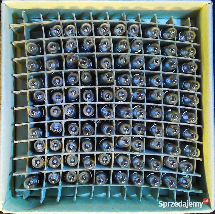 Komplet żaróweczek telefonicznych 12 V 50 mA z