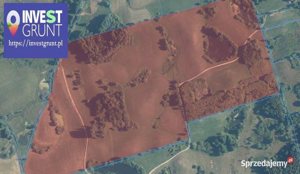 1618 ha przetarg na dzierżawę gruntów rolnych Plutki