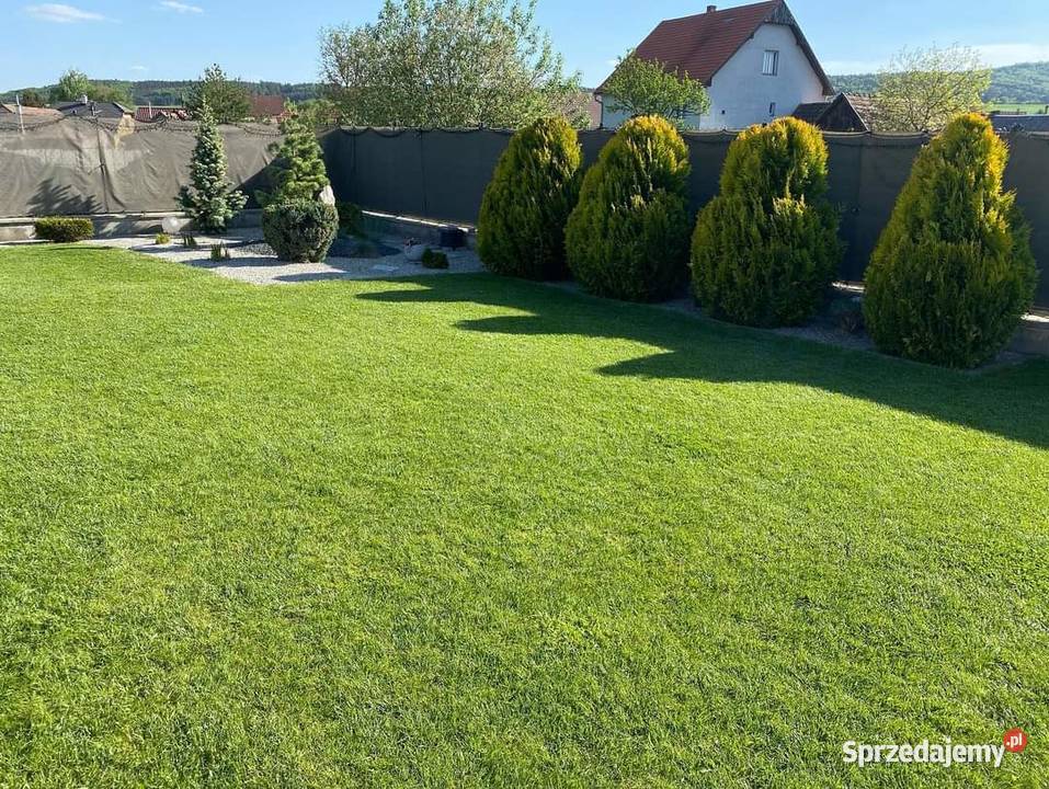 Usługi Ogrodnicze Wertykulacja wycinki drzew śląskie