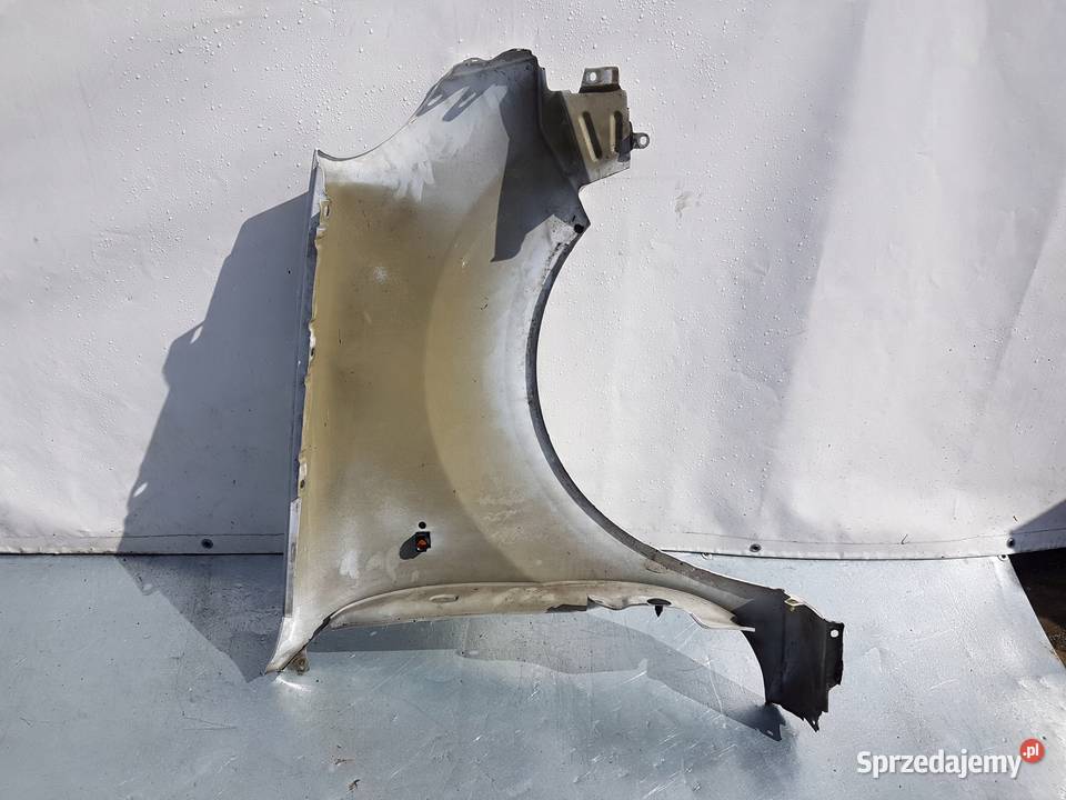 BŁOTNIK LEWY RENAULT KANGOO 0308 lak0389 wielkopolskie Międzychód