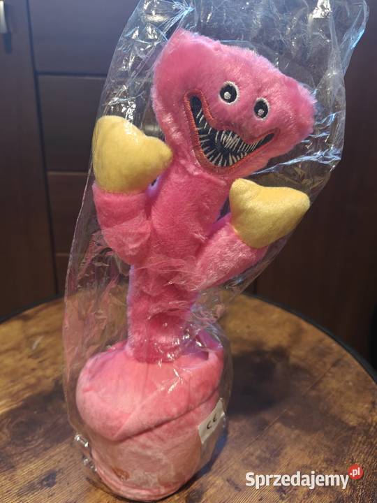 Tańczące maskotki kaktusyhuggy wuggy dolnośląskie Wrocław