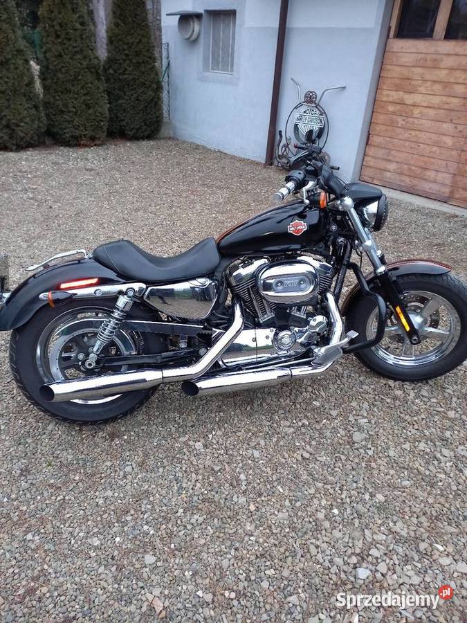 Harley davidson sportster castom 1200 Tyczyn
