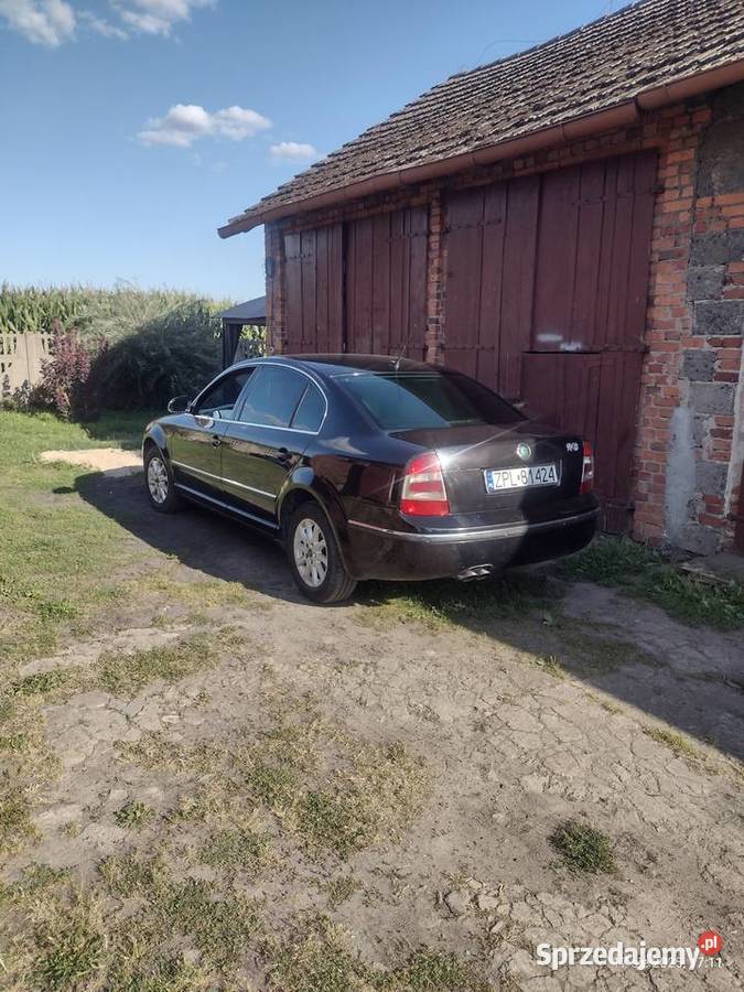 Sprżedm Ostrów Wielkopolski