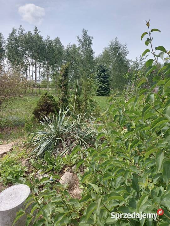 Sprzedam działkę budowlaną Zgierz