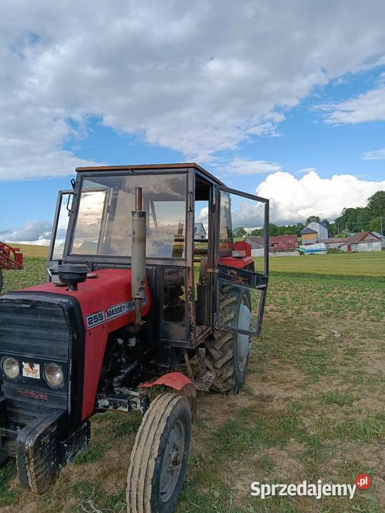 Ciągnik Massey Ferguson 255 1986 wszystkie lubelskie Uchanie