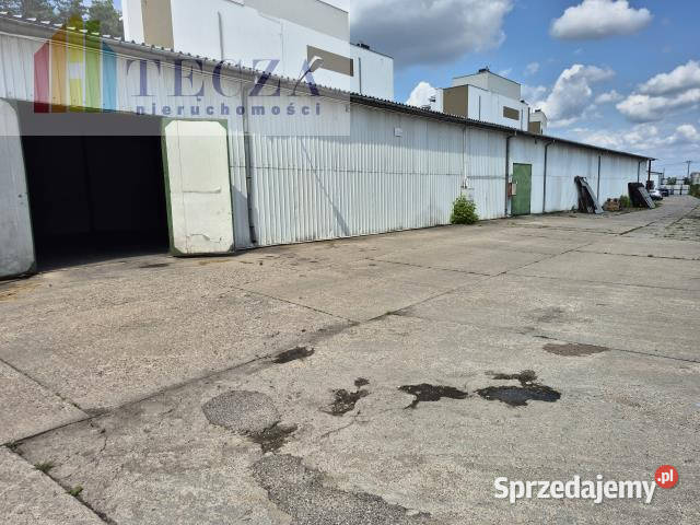 wynajmu lokalu 381 metrów Ząbki sprzedam