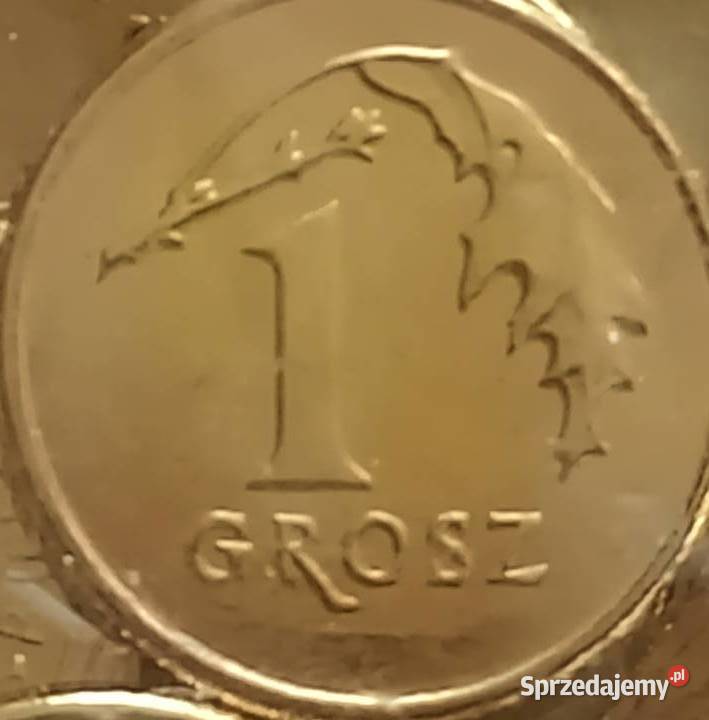 Moneta 1 gr 2021 r Mennicza Numizmatyka Mosina