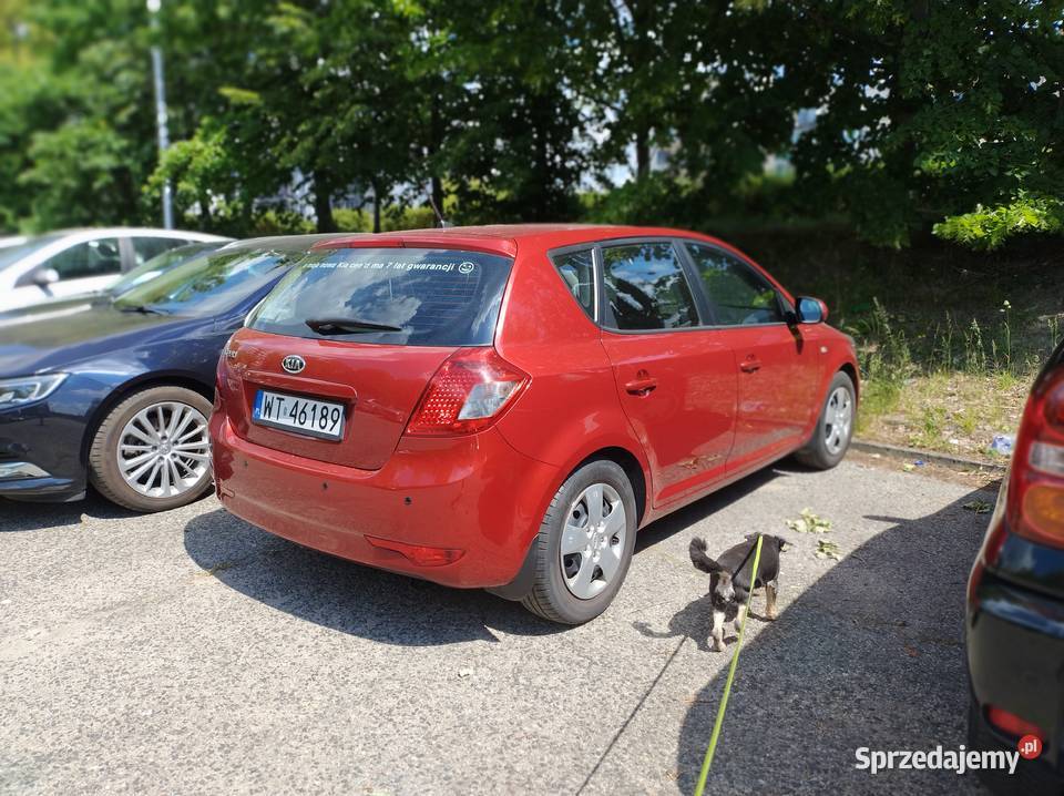 Wynajem Kia Ceed Ekonomiczna zadbana 55 doba mazowieckie Warszawa