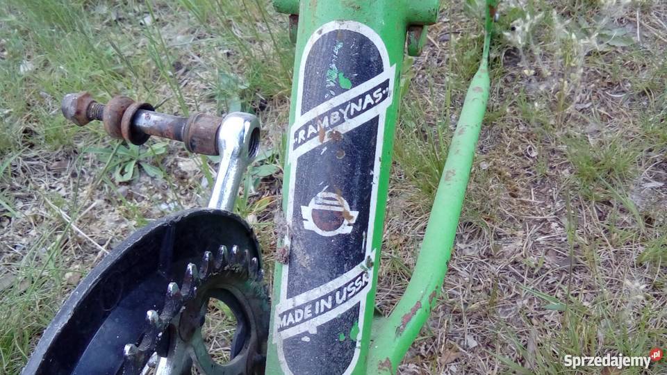 Rosyjski składak Rambynas nie wigry jubilat Kębłowo