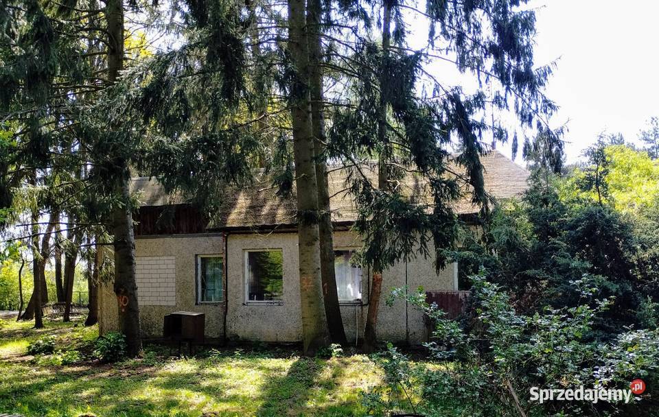 Żółwin działka budowlana 2500m2 z domem w gruntu