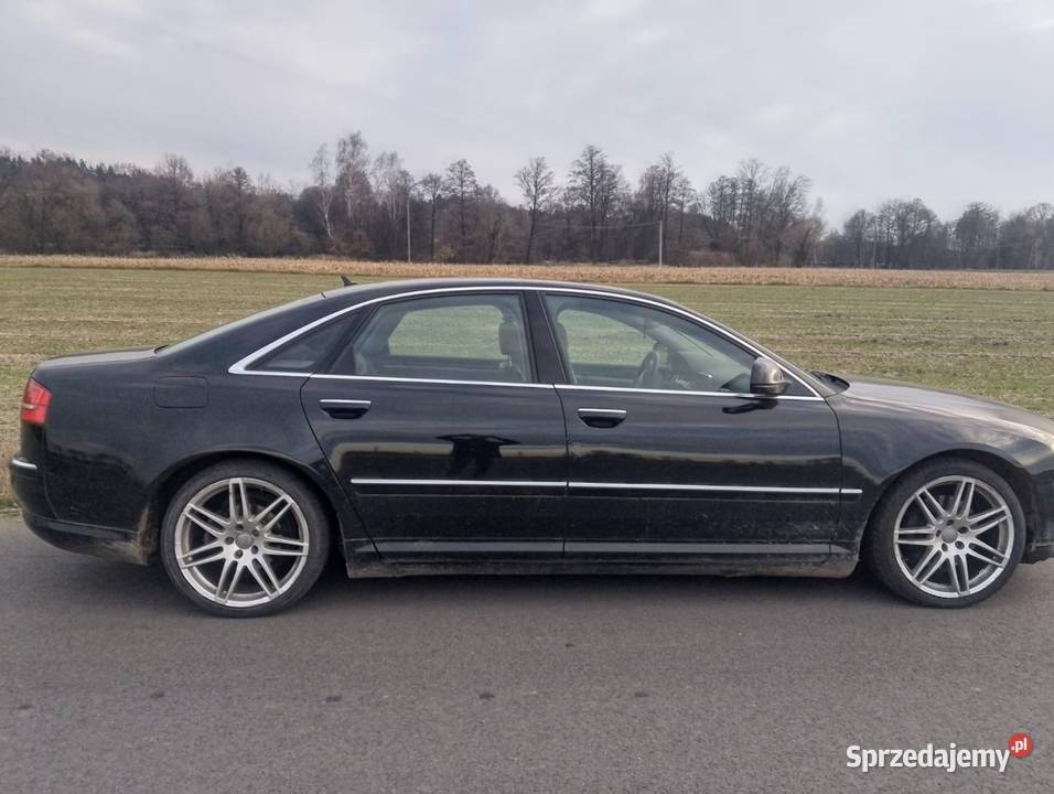 Audi A8 D3 30 TDI quattro Delikatnie uszkodzone Grabów nad Prosną