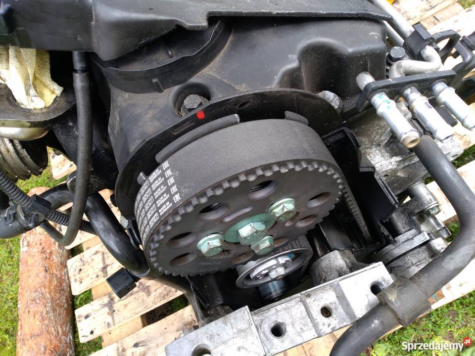 Silnik 19 tdi 105 lubuskie Żary