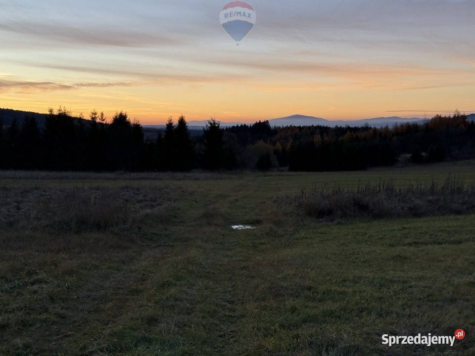 sprzedaży działki Frydman