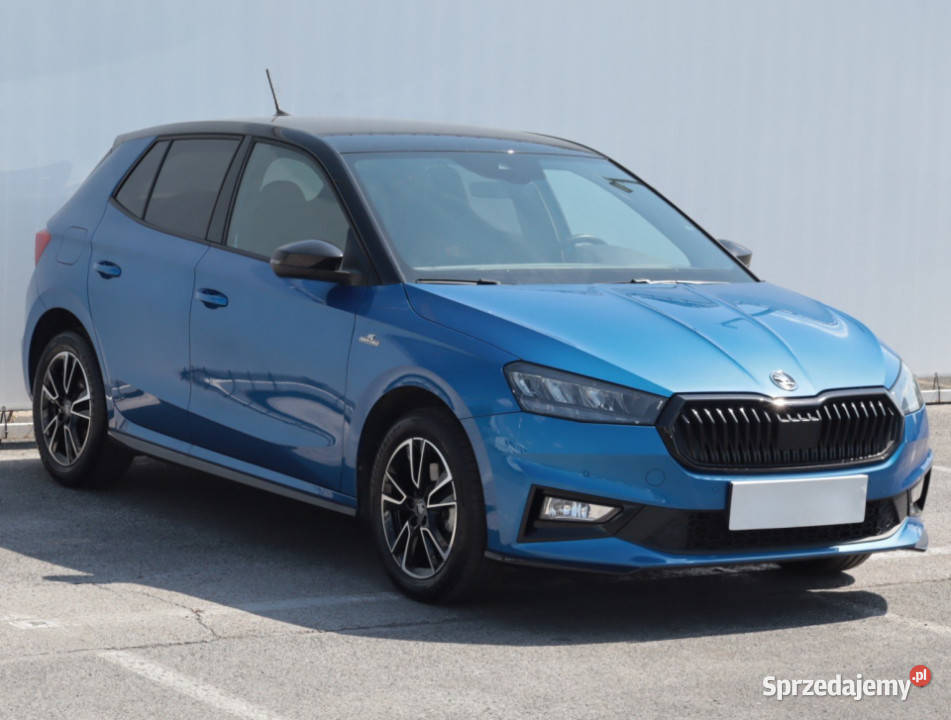 Skoda Fabia 10 TSI lubelskie Lublin