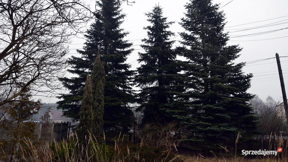 dom sosnowiec zawodzie Sosnowiec