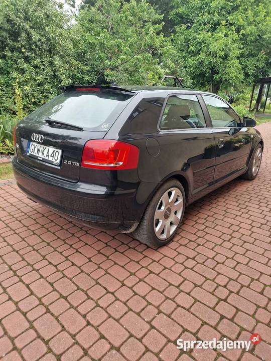 Audi a3 8p 20tdi Prabuty