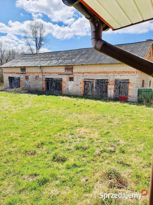 Okazja Gospodarstwo rolne 2177ha z dostępem do 217700m2 Raczki sprzedam