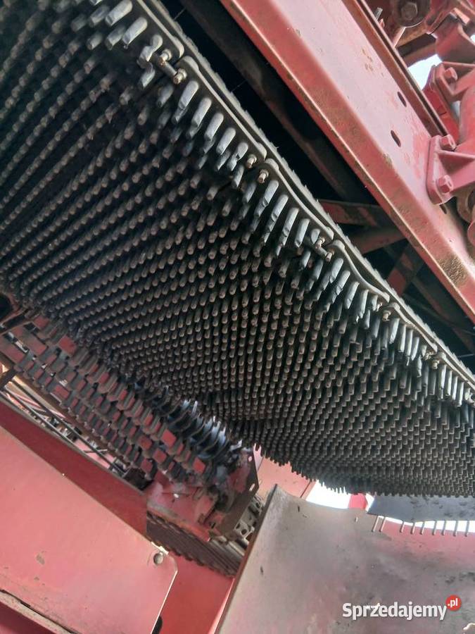 Grimme sl750 Do ziemniaków i warzyw Radziejów