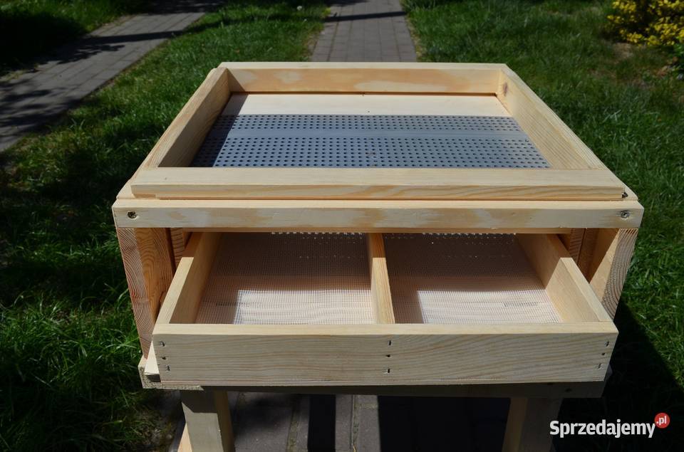 Ule wielkopolskie Chełm