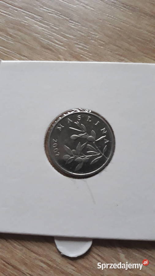 20 Lipa Chorwacja 2007 r Konin