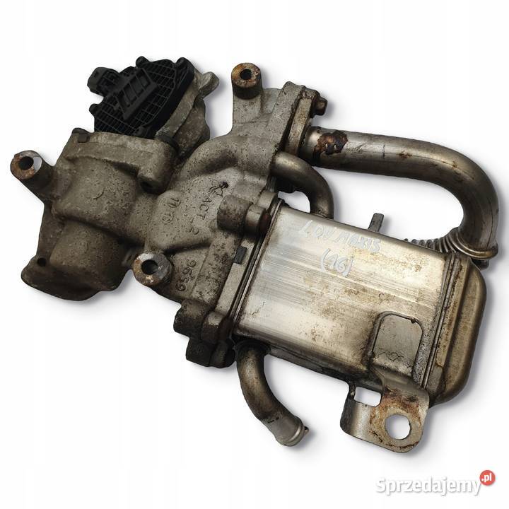 CHŁODNICA SPALIN Maxus V80 25 D oryginał Chełm sprzedam