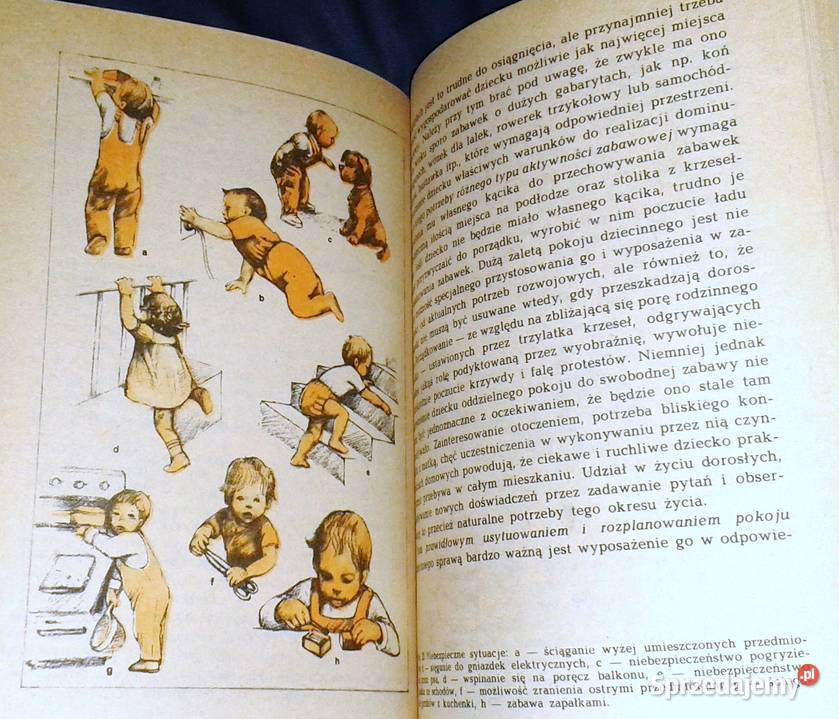 Nasze dziecko Jadwiga KopczyńskaSikorska Chełm