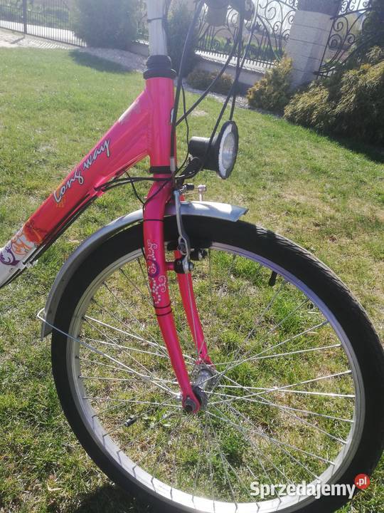 Rower Romet Long Way 24 Prusy