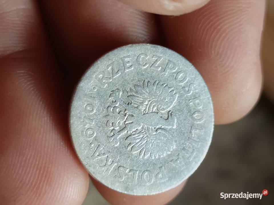 Sprzedam monete 50 gr 1949 r lllllll lubelskie Chełm