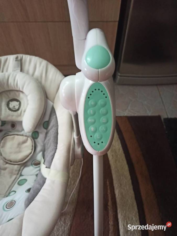 bujaczek Lionelo Robin Warszawa